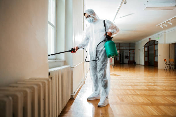 Best Termite Inspection and Treatment  in Fair Plain, MI